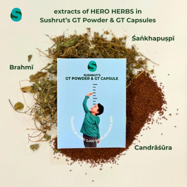 GT Powder and Capsules - 1 Month