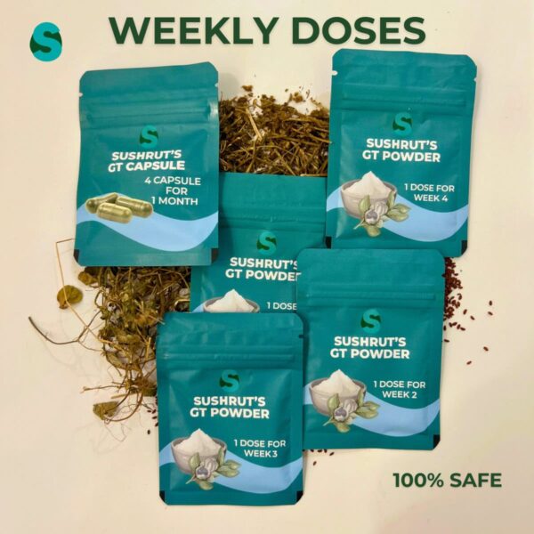 GT Powder and Capsules - 1 Month